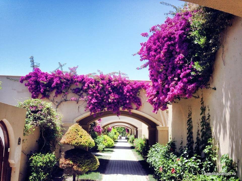 imagini hotel SPICE BELEK